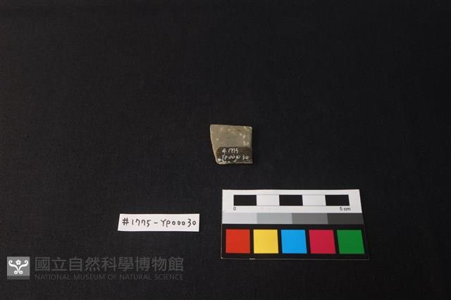 陶片藏品圖，第2張