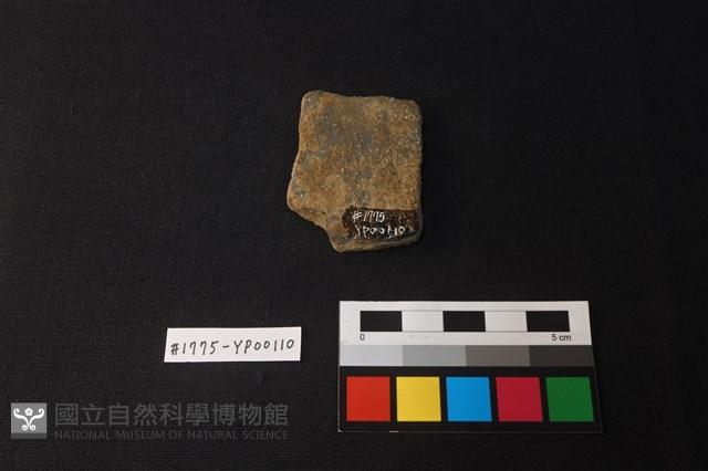 陶片藏品圖，第2張
