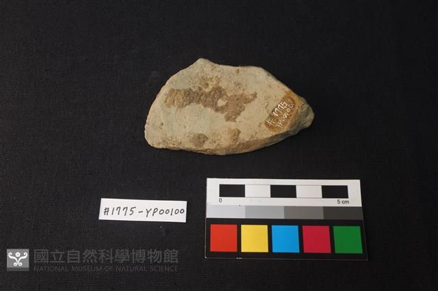 陶片藏品圖，第2張