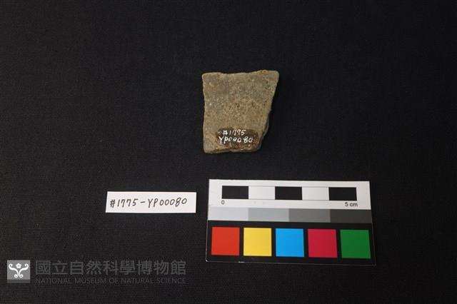 陶片藏品圖，第2張