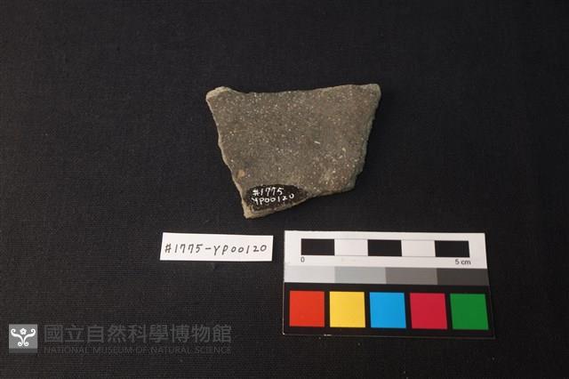 陶片藏品圖，第2張