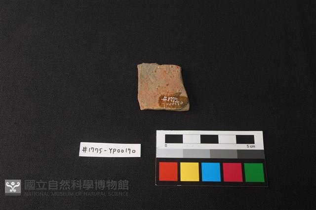 陶片藏品圖，第2張