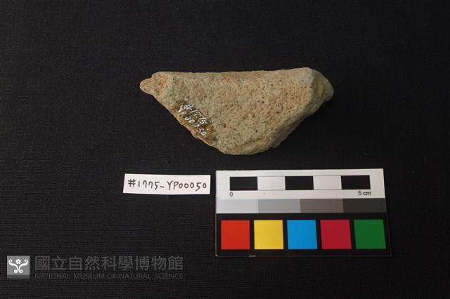 陶片藏品圖，第2張