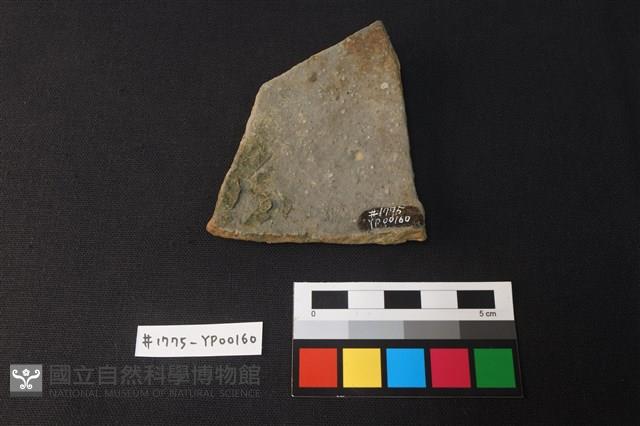 陶片藏品圖，第2張