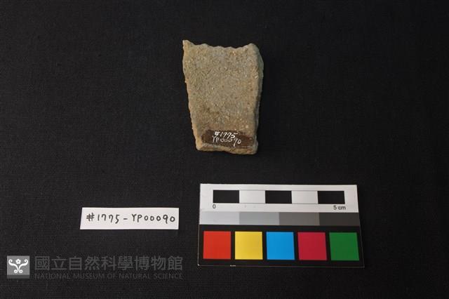 陶片藏品圖，第2張