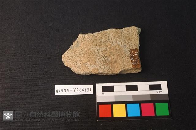 陶片藏品圖，第2張