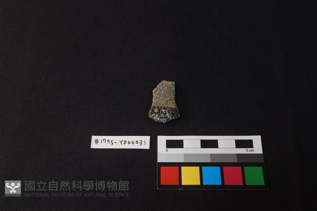 陶片藏品圖，第2張