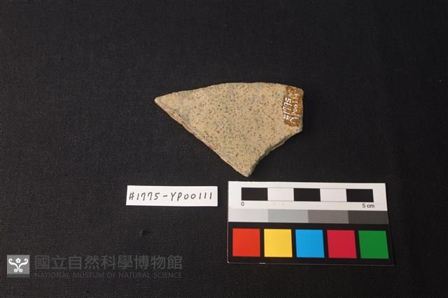 陶片藏品圖，第2張