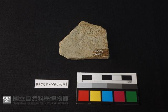 陶片藏品圖，第2張
