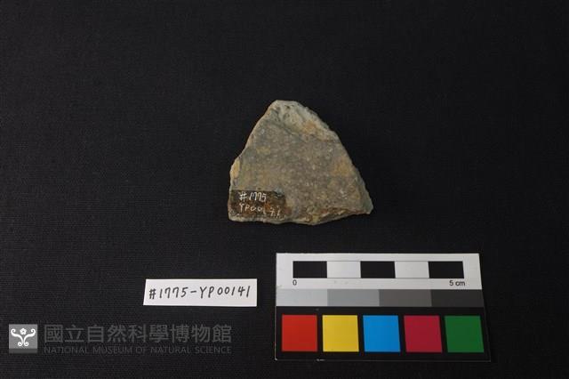陶片藏品圖，第2張