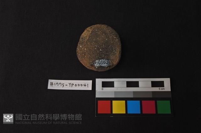 陶蓋把藏品圖，第2張