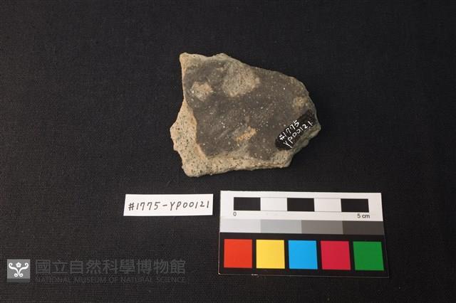 陶片藏品圖，第2張
