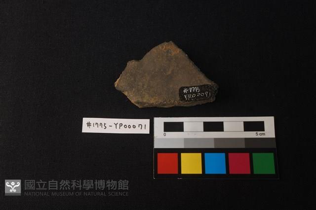 陶片藏品圖，第2張