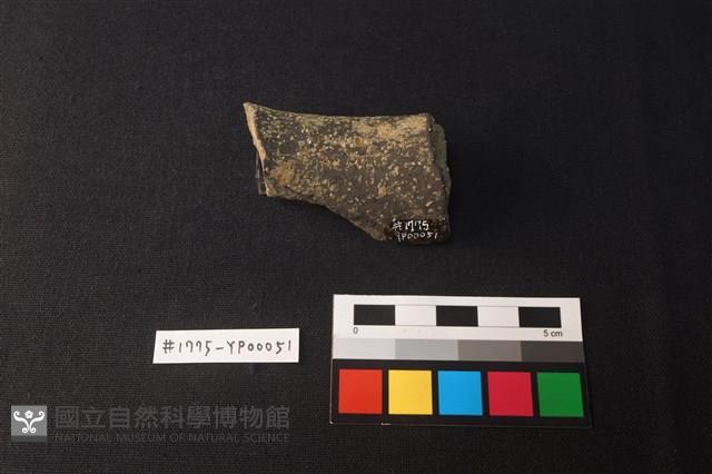 陶片藏品圖，第2張