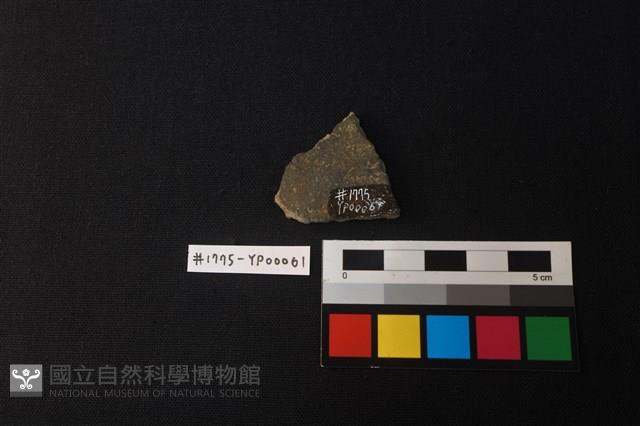 陶片藏品圖，第2張