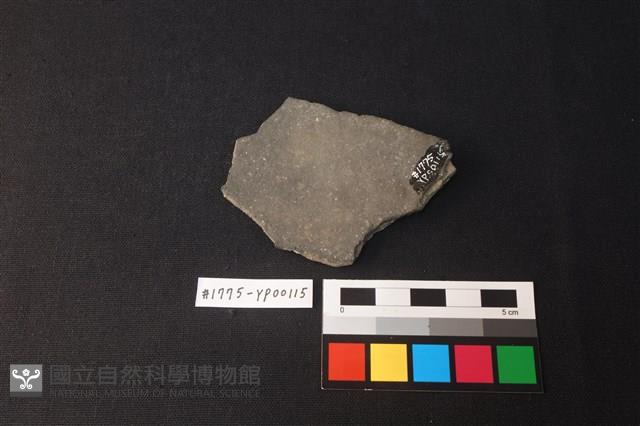 陶片藏品圖，第2張