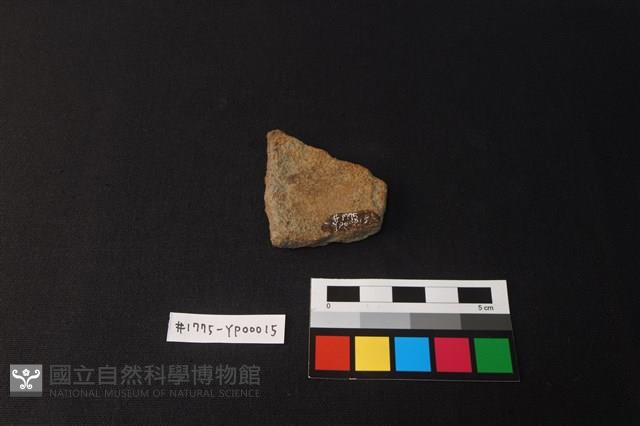 陶片藏品圖，第2張
