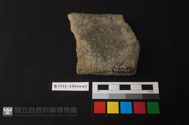 陶片藏品圖，第2張