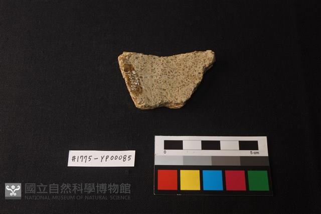 陶片藏品圖，第2張