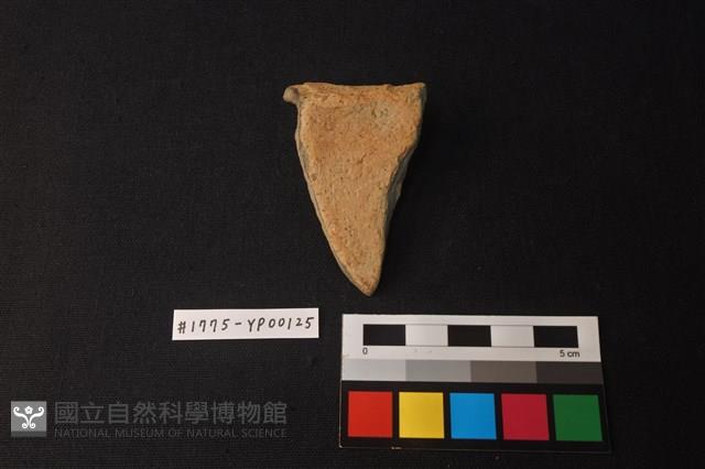 陶片藏品圖，第2張
