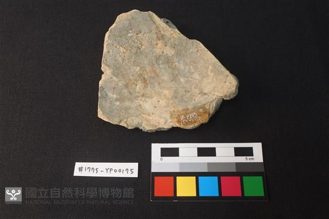 陶片藏品圖，第2張