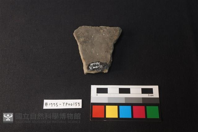 陶片藏品圖，第2張