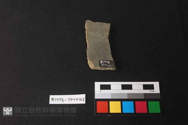 陶片藏品圖，第2張