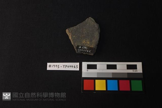 陶片藏品圖，第2張