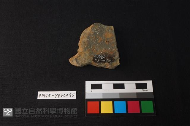 陶片藏品圖，第2張