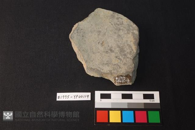 陶片藏品圖，第2張