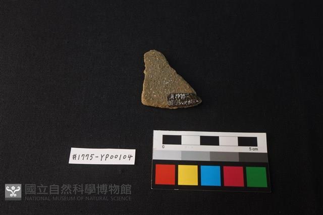 陶片藏品圖，第2張