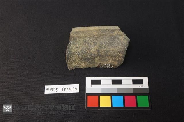 陶片藏品圖，第2張