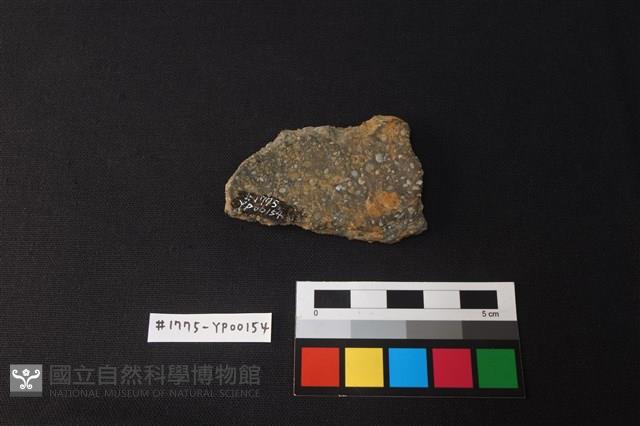 陶片藏品圖，第2張
