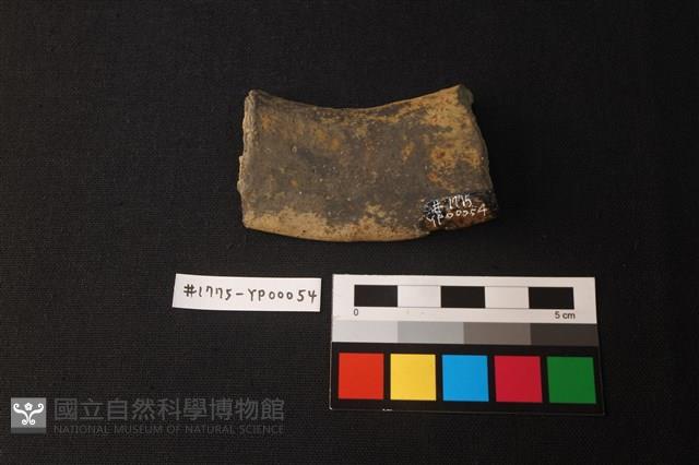 陶片藏品圖，第2張
