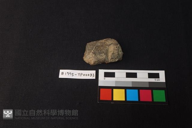 陶片藏品圖，第2張