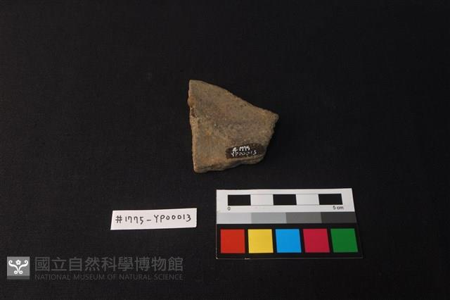 陶片藏品圖，第2張