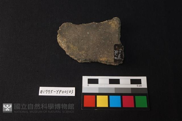 陶片藏品圖，第2張