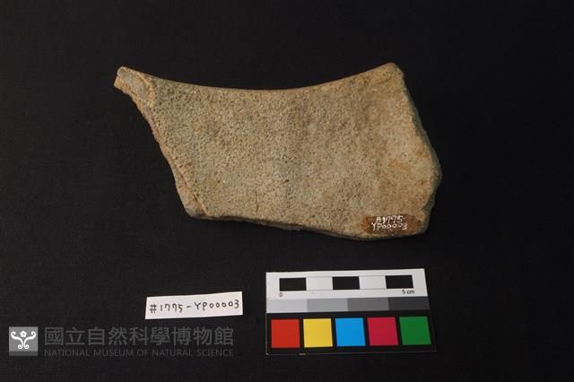 陶片藏品圖，第2張
