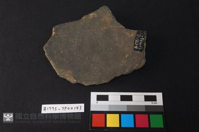 陶片藏品圖，第2張