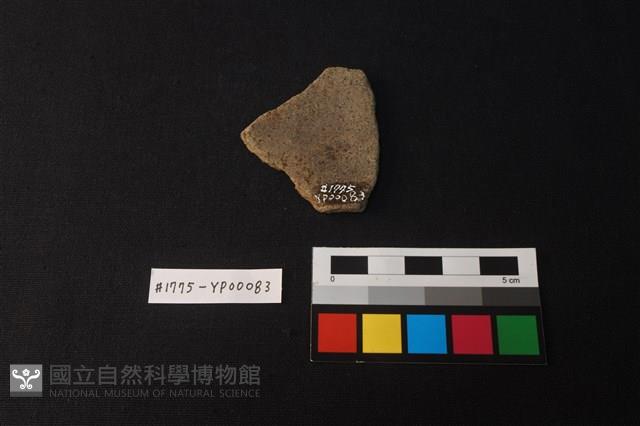 陶片藏品圖，第2張