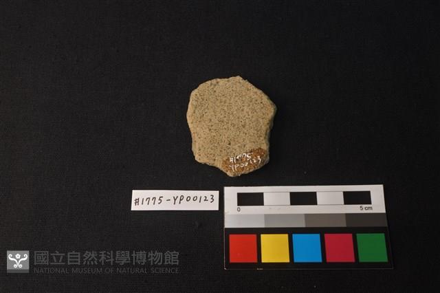 陶片藏品圖，第2張