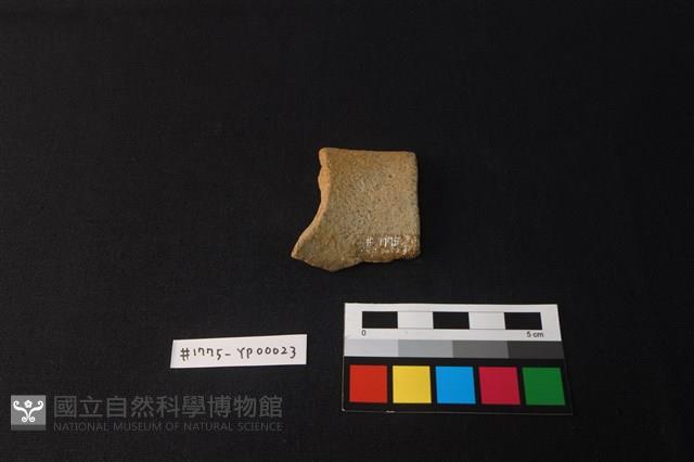 陶片藏品圖，第2張