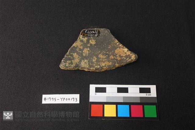 陶片藏品圖，第2張