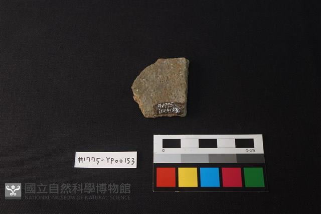 陶片藏品圖，第2張