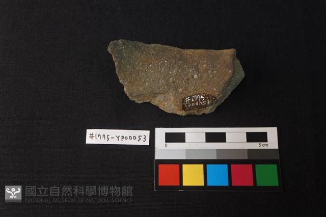 陶片藏品圖，第2張