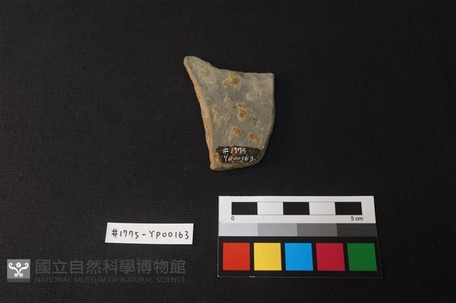 陶片藏品圖，第2張