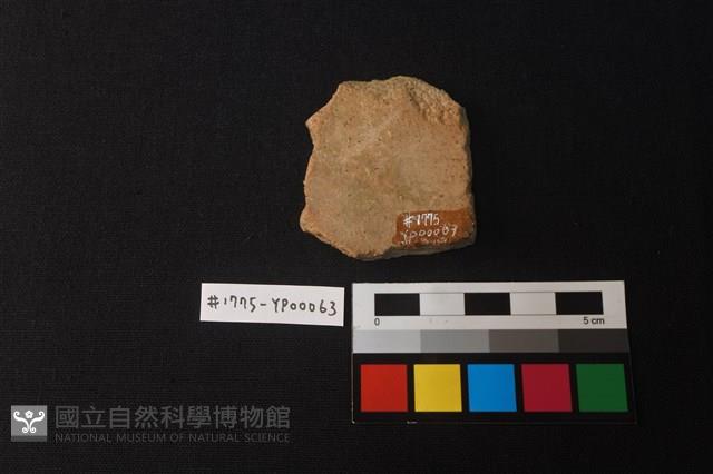 陶片藏品圖，第2張