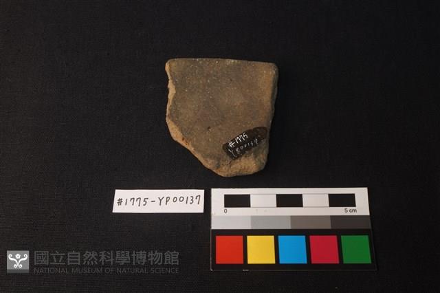 陶片藏品圖，第2張