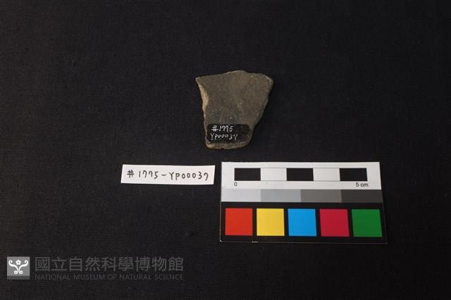 陶片藏品圖，第2張
