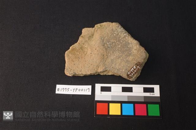陶片藏品圖，第2張